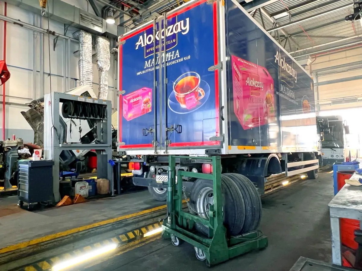 photo_5451887076313252664_y