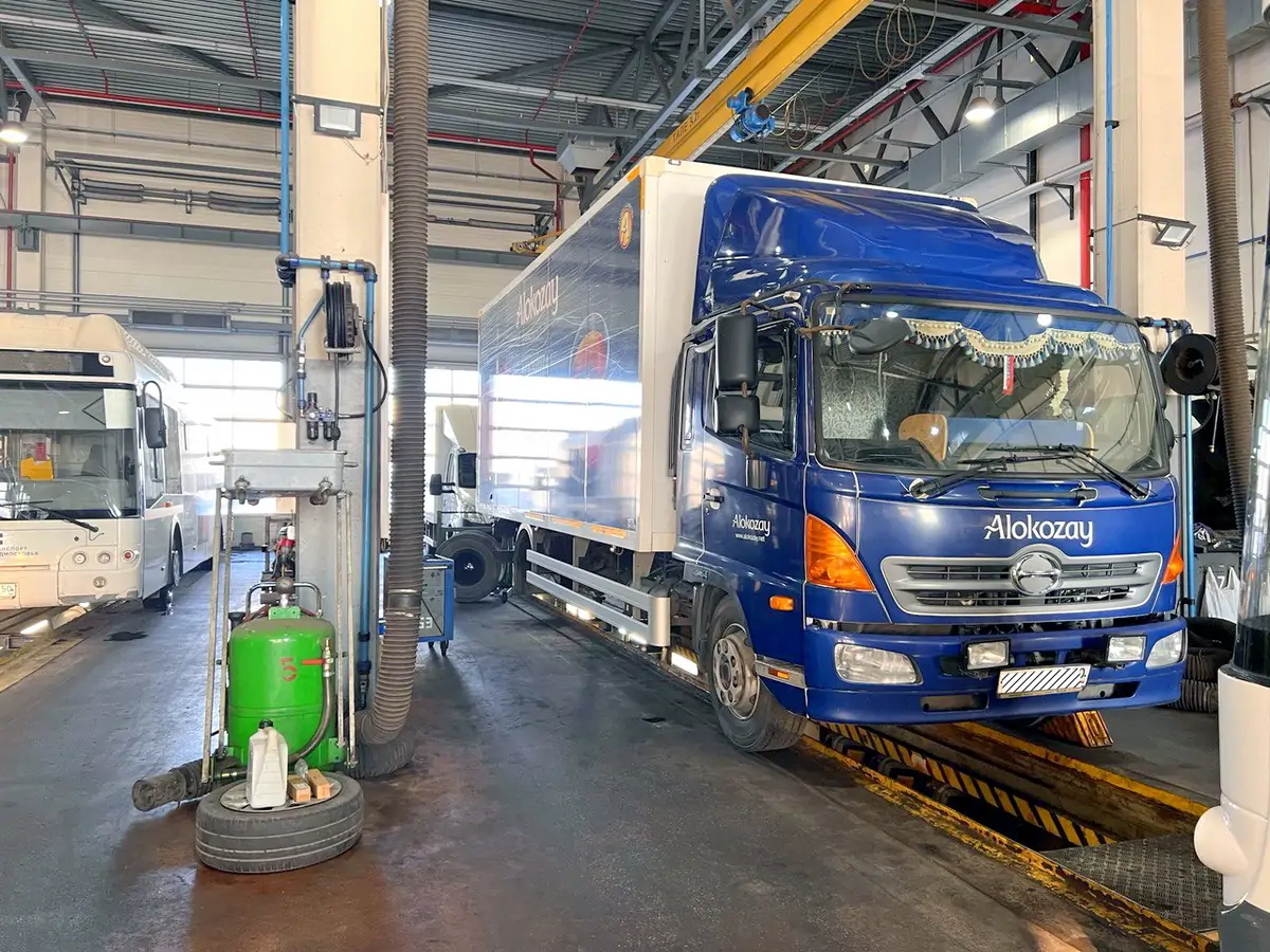 photo_5451887076313252667_y