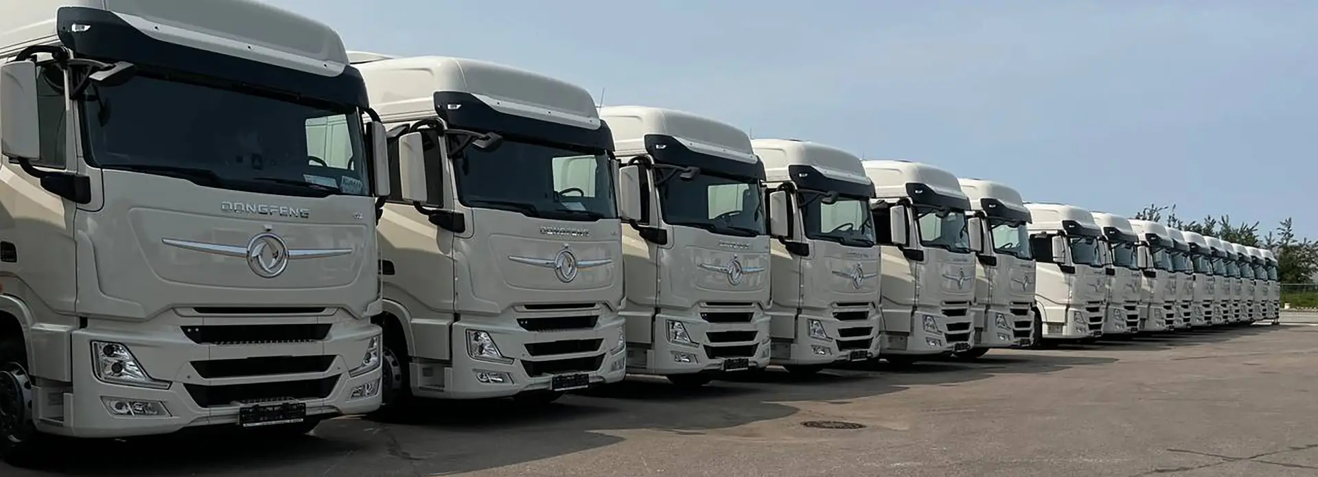 Photo 2025 06 17 17 29 08