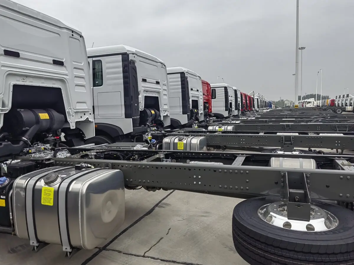 Image 20230927150206 (1)